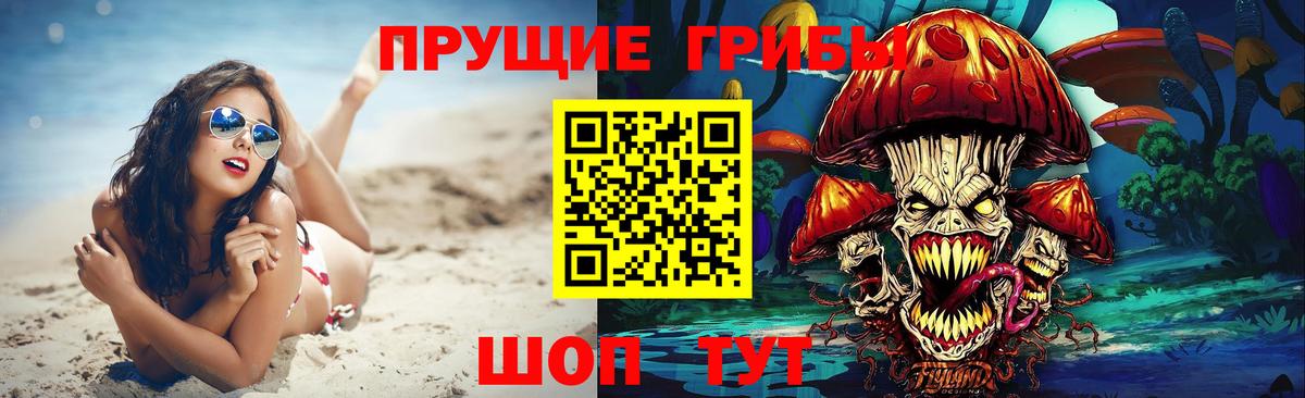 Городец  купить наркотики цена  Вход с VPN  Псилоцибиновые грибы Psilocybe  Галлюциногенные грибы Psilocybe 